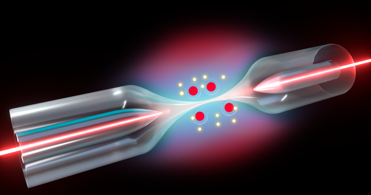 Light–matter interaction